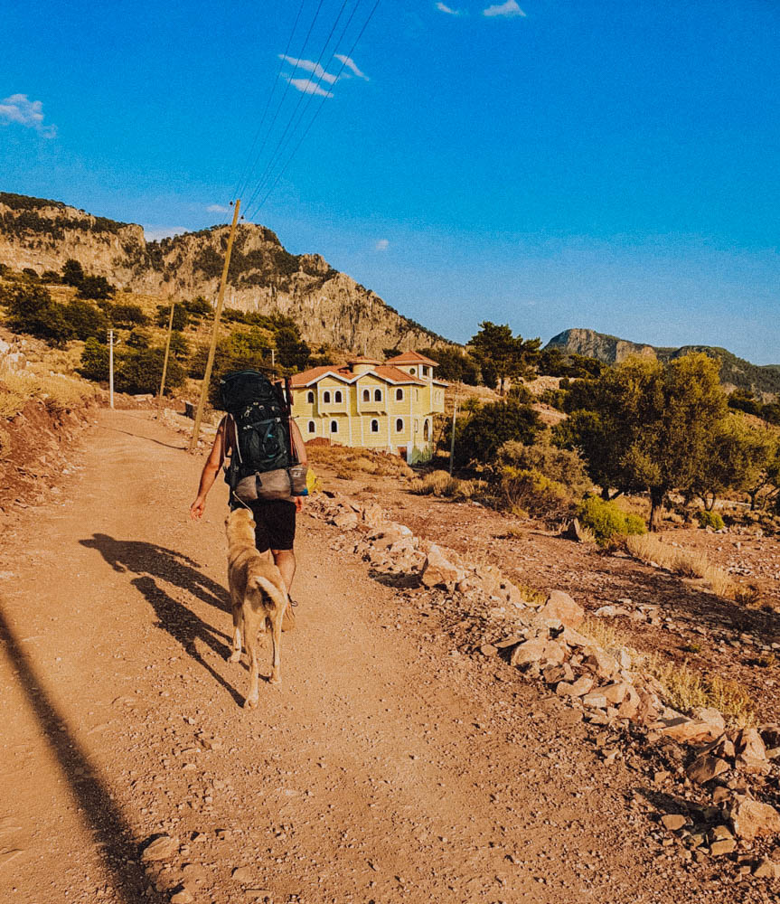 A Kangal following a hiker on the Lycian Way in Fethiye, Turkey. 