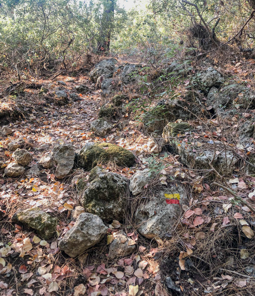 The yellow and red paint lines that mark the path of the Lycian Way. 